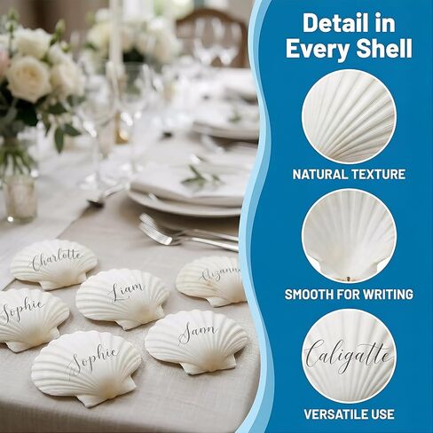 Large Seashells for Crafts 20 PCS, 4–5 Inch Scallop Shells Natural White for DIY Painting, Beach Decor, Wedding Party Supplies, Home Decor in Saudi Arabia