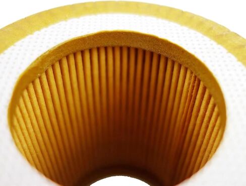 5 قطعة 11427953129 متوافق مع BMW N52 N54 N55-128i 135i 320i 325i 325xi 328i 328xi 330i 330xi 335i 335xi 525i 525xi 528i xi 530i 530xi 535i 535xi M3 X1 X3 X5 Z4 F25 F30 E70 E90 E92 E93 المزيد in Kuwait