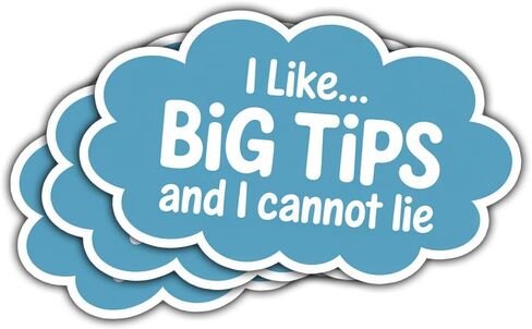 3Pcs I Like Big Tips and I Cannot Lie Sticker Funny Waitress Bartender Barista Gift for Tip Jar I Like Big Tips and I Cannot Lie Stickers Service Decal for Laptop Bottle Notebook Toolbox Hard Hat 3" in Kuwait