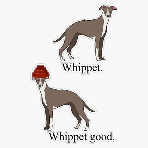 MAGNET Whippet Good Devo Whippet Magnetic Sticker Vinyl Waterproof Magnet Decal Car 5" in Kuwait