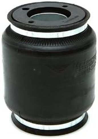 Aero Sport Strut Bag with 1/4" NPT Port in Saudi Arabia