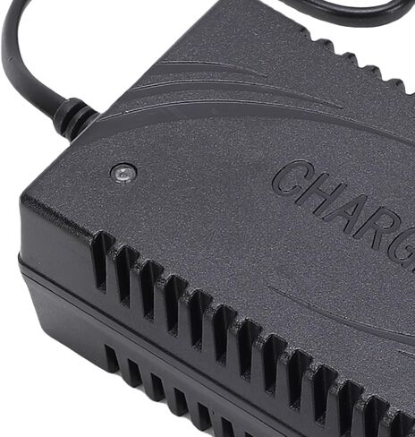 Haofy Battery Charger 2A Fast Charging for Electric Garden Sprayers Suitable for Backpack Sprayer Supplies, Livestock Farming, Aquaculture in Kuwait