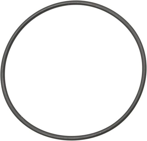 Compatible with 420830355, P420830355 Sealing Ring U1In-k07424 in Kuwait