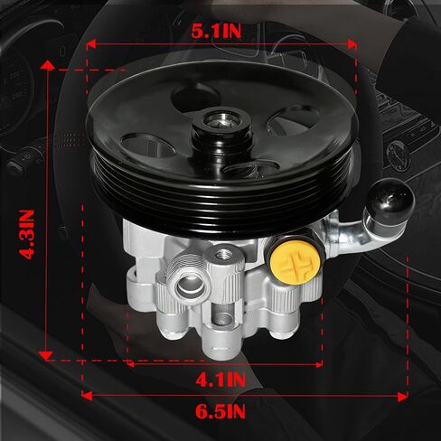21-5439 Power Steering Pump with Pulley, Fit for Chrysler 300 2005-2010, Magnum 2005-2008, Dodge Charger 2006-2010, Challenger 2.7L 3.5L V6# 4782523AC 04892093AA in Saudi Arabia