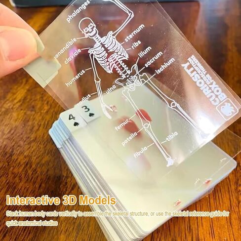The Body Deck Transparent Anatomy Playing Cards, 3D Skeleton Design, Educational Card Game, 54 Cards (1 Pack) in Saudi Arabia