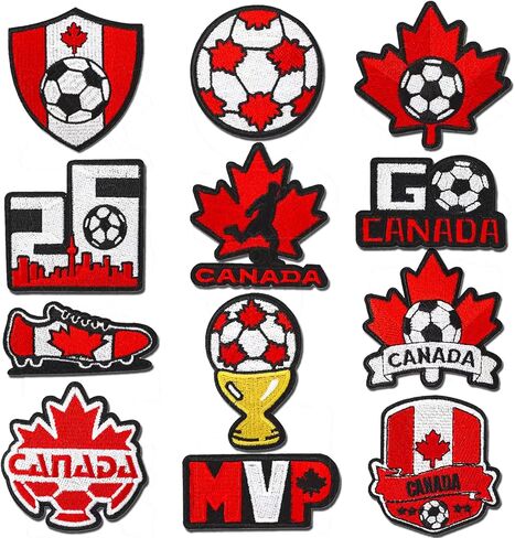 12Pcs Class of 2026 Graduation Iron on Patches Applique with Pink Gradution Embroidered Sew on Cloth Multiple Styles Patches for Clothes Hats Backpacks Jackets DIY Accessories Decorations in Saudi Arabia