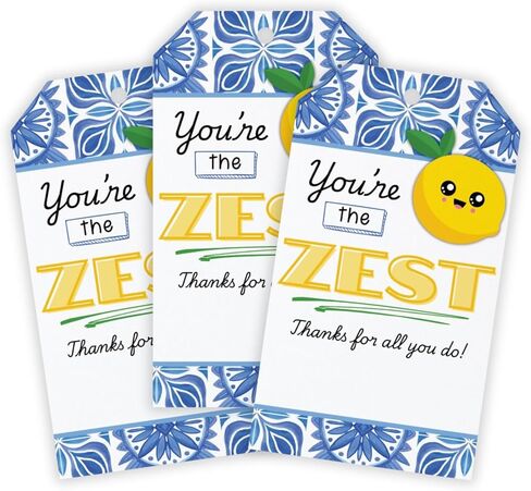 You’re the Zest Gift Tag 30pk 2x3.5 Lemon Teacher Appreciation Last Day Of School Gift Simply Lemon Goodie Favor Tag in Kuwait