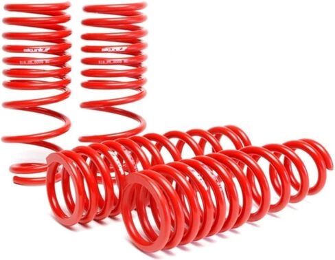 Skunk2 519-05-1560 Lowering Spring for 94-01 Acura Integra Set of 4 in Kuwait