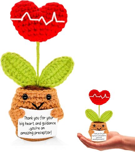YRUKOMU Nurse Preceptor Definition Gift Heart Crochet with Positive Cards Desk Decor Accessories Preceptor Appreciation Medical LPN Thank You Gifts for PA Doctor Nursing Mentor Instructor in Saudi Arabia