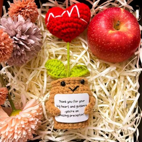 YRUKOMU Nurse Preceptor Definition Gift Heart Crochet with Positive Cards Desk Decor Accessories Preceptor Appreciation Medical LPN Thank You Gifts for PA Doctor Nursing Mentor Instructor in Saudi Arabia