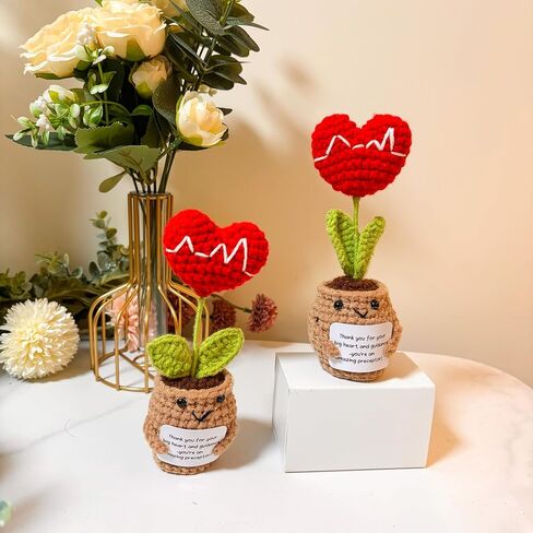 YRUKOMU Nurse Preceptor Definition Gift Heart Crochet with Positive Cards Desk Decor Accessories Preceptor Appreciation Medical LPN Thank You Gifts for PA Doctor Nursing Mentor Instructor in Saudi Arabia