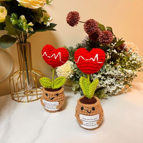 YRUKOMU Nurse Preceptor Definition Gift Heart Crochet with Positive Cards Desk Decor Accessories Preceptor Appreciation Medical LPN Thank You Gifts for PA Doctor Nursing Mentor Instructor in Saudi Arabia