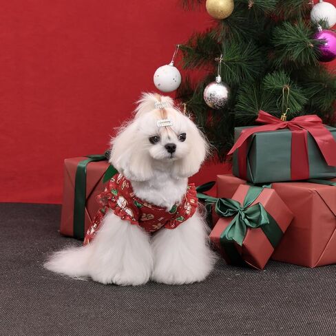 CuteBone Dog Dress Girl Puppy Skirt Cat Outfit Pet Clothes for Small Dogs Costume Birthday Gift DR27S in Saudi Arabia