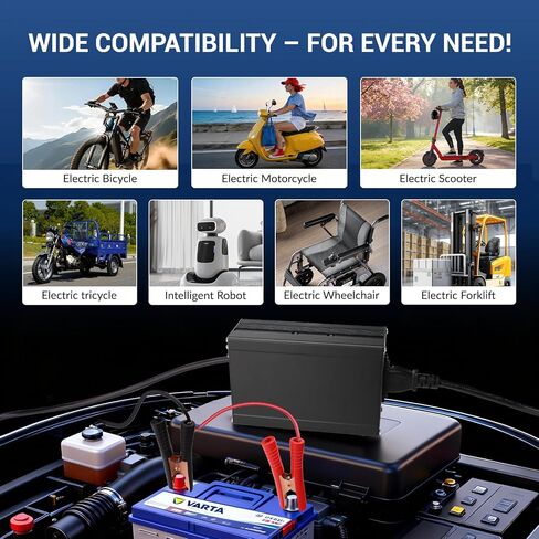 LiFePO4 Battery Charger 14.6V 20A, LiFePO4 Battery Charger with Anderson Connector, Built-in Cooling Fan for Lead-Acid & Lithium Batteries in Saudi Arabia