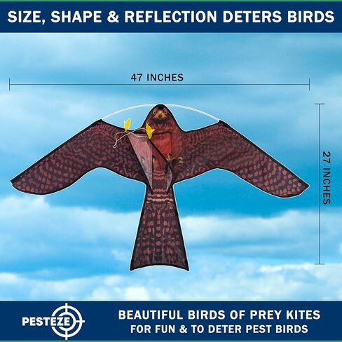 PESTEZE USA Premium Realistic Hawk Kite with String [47x27 Inch] EZ & Fun to Fly. Provides Humane Bird Deterrence in Yards & Farms. Protects Vegetables, Fruits & Crops from Pest Birds & Critters in Saudi Arabia