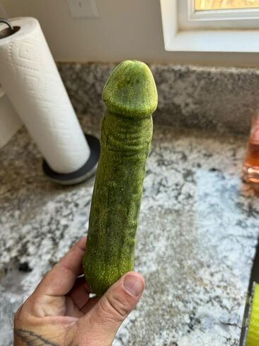 Funny Shaped Plastic Mold for Growing Cucumber and Eggplant Vegetable into Fun Shapes in Saudi Arabia