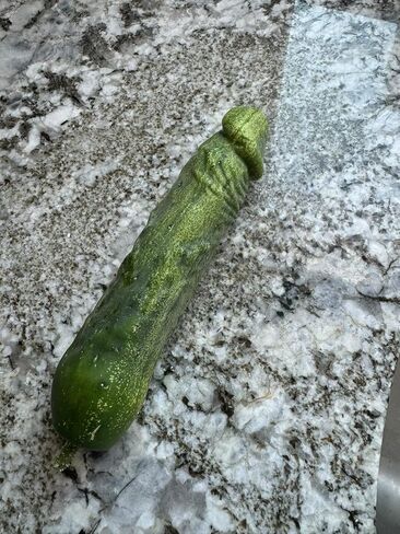 Funny Shaped Plastic Mold for Growing Cucumber and Eggplant Vegetable into Fun Shapes in Saudi Arabia