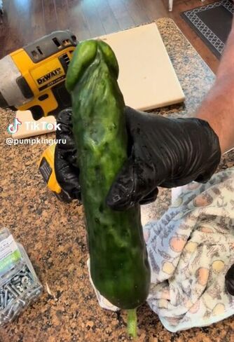 Funny Shaped Plastic Mold for Growing Cucumber and Eggplant Vegetable into Fun Shapes in Saudi Arabia