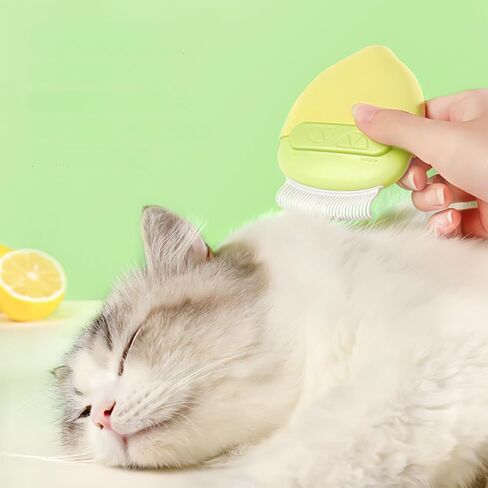 Cat Brush for Shedding – Dual-Function Cat Comb & Small Dog Brush, Furminator for Cats, Fresh Design for Grooming (Blue) in Saudi Arabia