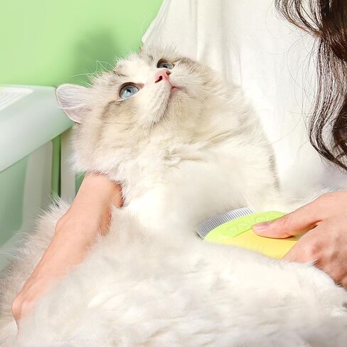 Cat Brush for Shedding – Dual-Function Cat Comb & Small Dog Brush, Furminator for Cats, Fresh Design for Grooming (Blue) in Saudi Arabia