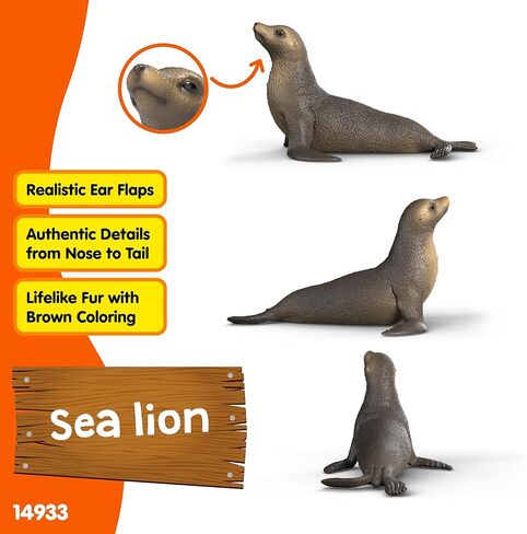 Schleich Wild Life - Sea Lion Figurine - Realistic Ocean Animal Toy Figures - Educational Wildlife Play Toys for Boys and Girls - Kids Ages 3+ | 14933 in Kuwait