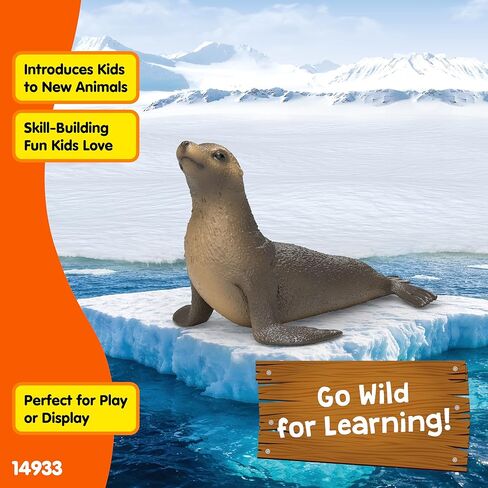 Schleich Wild Life - Sea Lion Figurine - Realistic Ocean Animal Toy Figures - Educational Wildlife Play Toys for Boys and Girls - Kids Ages 3+ | 14933 in Kuwait
