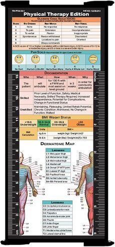 Whitecoat Clipboard® Trifold - إصدار العلاج الطبيعي (أسود، ثلاثي الطي) in Kuwait