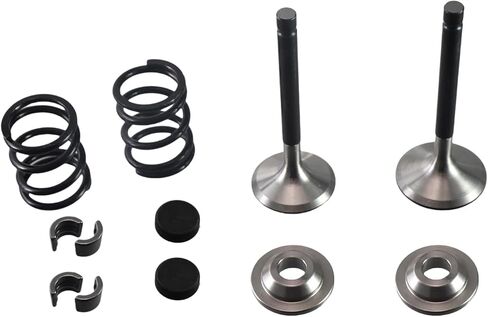 Stainless Steel Valve with Titanium Retainers & 26lb Springs kit for Predator 212cc Hemi and New Non-Hemi Engines in Saudi Arabia
