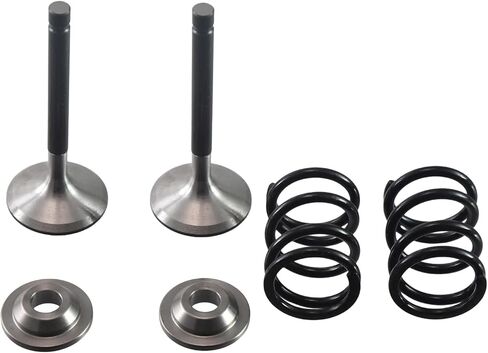 Stainless Steel Valve with Titanium Retainers & 26lb Springs kit for Predator 212cc Hemi and New Non-Hemi Engines in Saudi Arabia