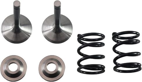 Stainless Steel Valve with Titanium Retainers & 26lb Springs kit for Predator 212cc Hemi and New Non-Hemi Engines in Saudi Arabia