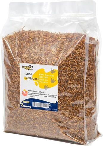 RANZ 10LBS Non-GMO Dried Mealworms for Chickens, High Protein Meal Worms, Premium Chicken Feed, Perfect Bird Food and Chicken Treats, Whole Large Mealworms for Wild Birds, Ducks, Fish in Saudi Arabia