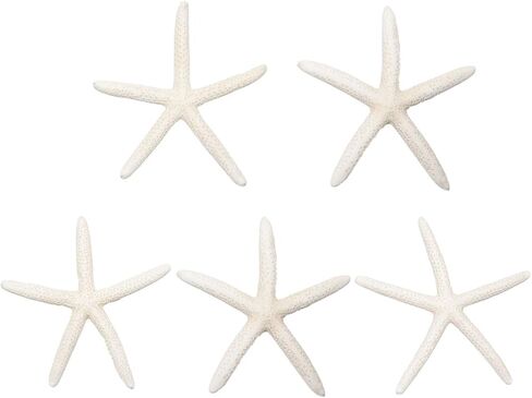 Jangostor Starfish 4-6 Inch Natural Colorful Seashells Perfect for Wedding Decor, Beach Theme Party, Home Decorations, DIY Crafts, Fish Tank in Saudi Arabia