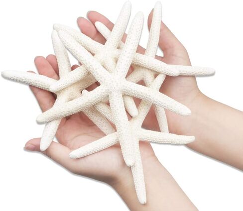 Jangostor Starfish 4-6 Inch Natural Colorful Seashells Perfect for Wedding Decor, Beach Theme Party, Home Decorations, DIY Crafts, Fish Tank in Saudi Arabia