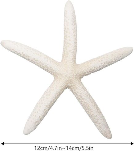 Jangostor Starfish 4-6 Inch Natural Colorful Seashells Perfect for Wedding Decor, Beach Theme Party, Home Decorations, DIY Crafts, Fish Tank in Saudi Arabia