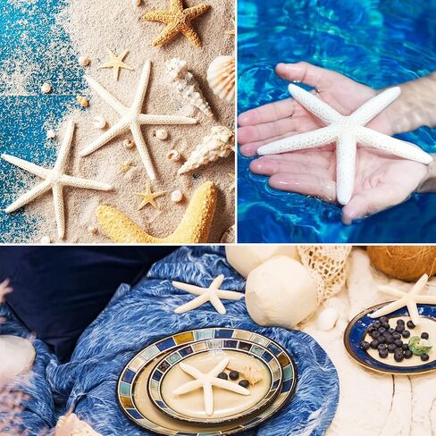Jangostor Starfish 4-6 Inch Natural Colorful Seashells Perfect for Wedding Decor, Beach Theme Party, Home Decorations, DIY Crafts, Fish Tank in Saudi Arabia