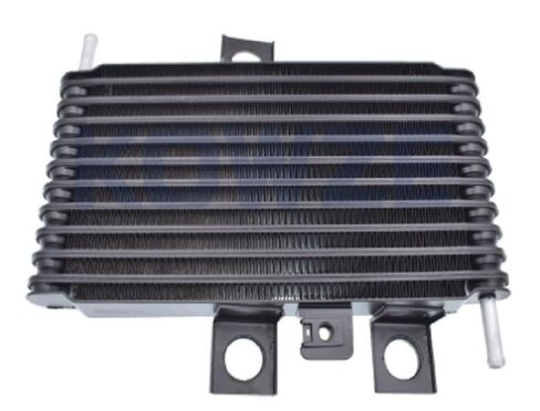 1 قطعة مشعاع السيارة OEM 2920A019 in Kuwait