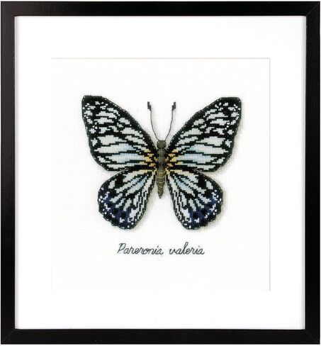 Vervaco Blue Butterfly Counted Cross Stitch Kit, Multi-Colour in Saudi Arabia
