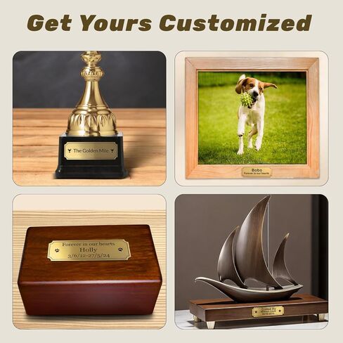 Personalized Brass Name Plate, Brushed Gold Frame Plaque, 3 x 1 inches, with Adhesive or Screws – Ideal for Trophies, Urns, Picture Frames and More as Custom Name Label or Art Tag, 3" W x 1" H x 0.04" (Thickness) in Saudi Arabia