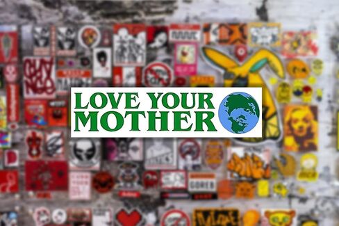 Love Your Mother Earth Environmental Climate Change Vinyl Sticker Decal (2 Pack) - 5.75x1.75 Inches - for Car Truck SUV Van Window Bumper Wall Laptop Tablet Cup Tumbler and Any Smooth Surface in Kuwait