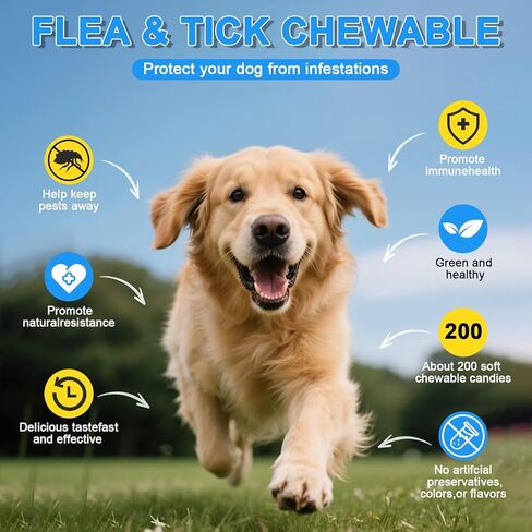 Hip and Joint Supplement for Dogs, glucosamine for Dogs Hip and Joint Supplement with Chondroitin, MSM, Omega 3 Chondroitin and Green Lipped Mussel, 250 Chews for All Senior Large Small Medium Breed in Saudi Arabia