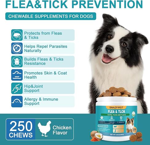 Hip and Joint Supplement for Dogs, glucosamine for Dogs Hip and Joint Supplement with Chondroitin, MSM, Omega 3 Chondroitin and Green Lipped Mussel, 250 Chews for All Senior Large Small Medium Breed in Saudi Arabia