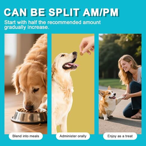 Hip and Joint Supplement for Dogs, glucosamine for Dogs Hip and Joint Supplement with Chondroitin, MSM, Omega 3 Chondroitin and Green Lipped Mussel, 250 Chews for All Senior Large Small Medium Breed in Saudi Arabia