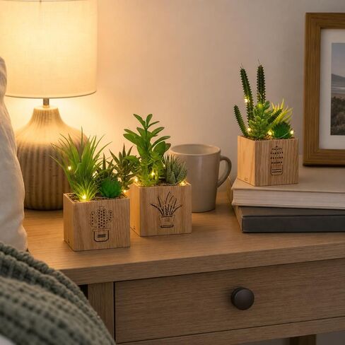 BEGONDIS Set of 3 Artificial Succulents with Led Lights in Wooden Box, Artificial Plants Plastic Fake Topiary for Home/Office Decorations, Table Centerpiece in Saudi Arabia
