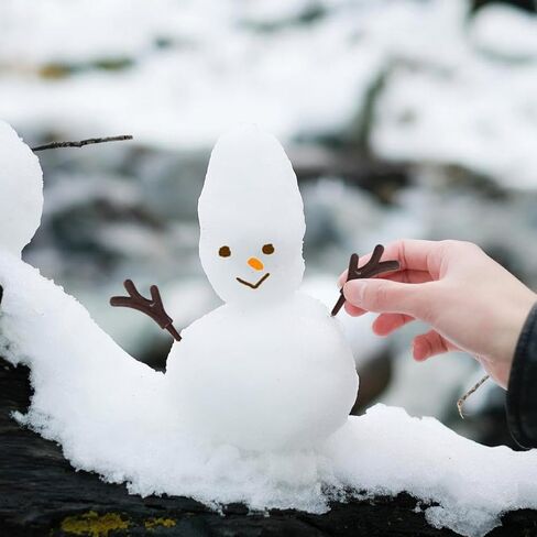 ARTIBETTER 100PCS Plastic Snowman Hand Mini Reindeer Elk Antler Deer Horn Branch Christmas Snowman Making Hand Making Accessories for DIY Craft in Saudi Arabia