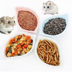 4 Pack Hamster Ceramic Food Bowl, Small Animals Chew-Resistant Food and Water Dish for Hamster Gerbil Hedgehog Rat Rodent (Colors May Vary)