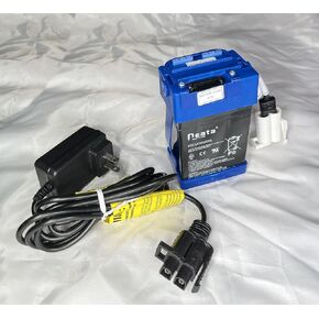 6 Volt Battery and Charger Compatibal with for Motion Trendz Mega Tredz Yamaha YFZ Replica ATV Action Wheels Disney Cars 2 Francesco Race Car Battery Powered Ride On