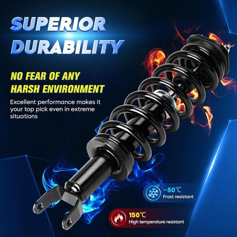 Front Strut Shock Assembly w/Coil Spring for Dodge Ram 1500 4WD 2006-2008, Replace 171111, Left & Right, 2PCS in Saudi Arabia