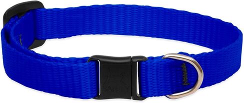 LupinePet Basics 1/2" Black Cat Safety Collar with Bell , 8-12" in Saudi Arabia