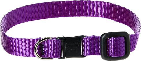 LupinePet Basics 1/2" Black Cat Safety Collar with Bell , 8-12" in Saudi Arabia