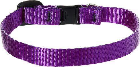 LupinePet Basics 1/2" Black Cat Safety Collar with Bell , 8-12" in Saudi Arabia